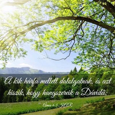 Picture 03 - Ámos 6:5 KAR - A kik hárfa mellett dalolgatnak, és azt hiszik, - Bible Verse Picture