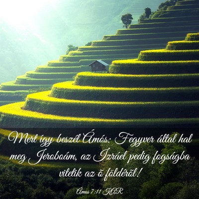 Picture 03 - Ámos 7:11 KAR - Mert így beszél Ámós: Fegyver által hal meg - Bible Verse Picture