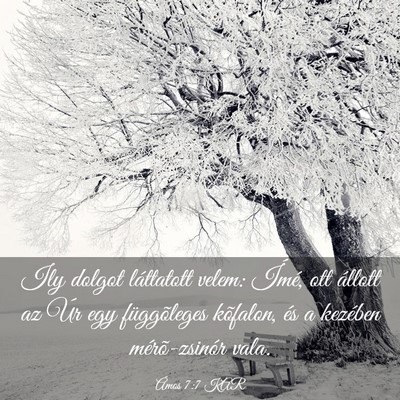 Picture 03 - Ámos 7:7 KAR - Ily dolgot láttatott velem: Ímé, ott állott - Bible Verse Picture