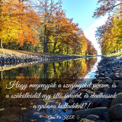 Picture 03 - Ámos 8:6 KAR - Hogy megvegyük a szegényeket pénzen, és a - Bible Verse Picture
