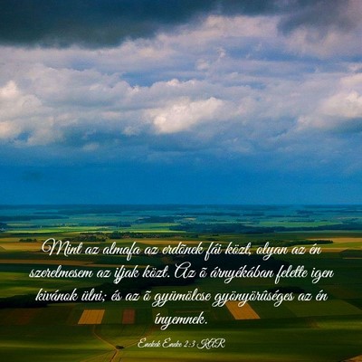 Picture 03 - Énekek Éneke 2:3 KAR - Mint az almafa az erdõnek fái közt, olyan az - Bible Verse Picture