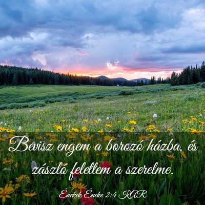 Picture 03 - Énekek Éneke 2:4 KAR - Bevisz engem a borozó házba, és zászló - Bible Verse Picture