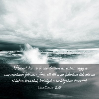 Picture 03 - Énekek Éneke 2:9 KAR - Hasonlatos az én szerelmesem az õzhöz, vagy a - Bible Verse Picture