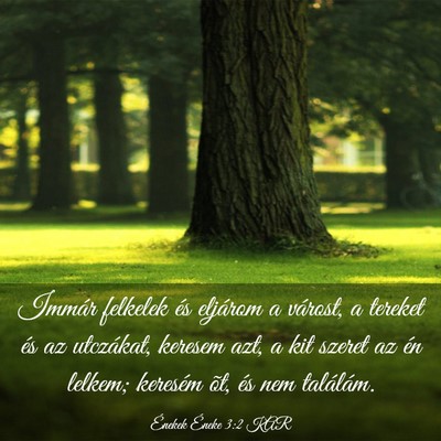 Picture 03 - Énekek Éneke 3:2 KAR - Immár felkelek és eljárom a várost, a tereket - Bible Verse Picture