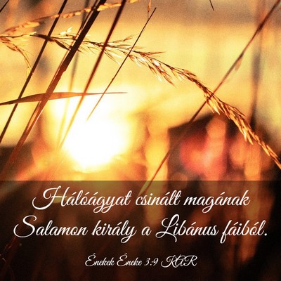 Picture 03 - Énekek Éneke 3:9 KAR - Hálóágyat csinált magának Salamon király a - Bible Verse Picture
