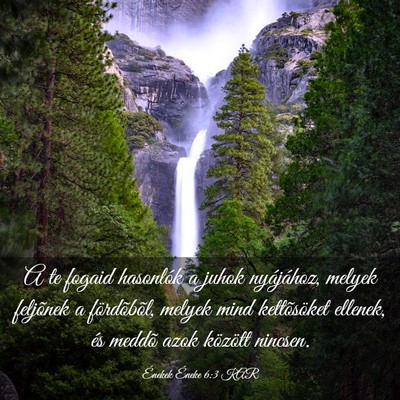 Picture 03 - Énekek Éneke 6:3 KAR - A te fogaid hasonlók a juhok nyájához, melyek - Bible Verse Picture
