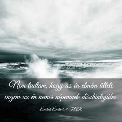 Picture 03 - Énekek Éneke 6:9 KAR - Nem tudtam, hogy az én elmém ültete engem az - Bible Verse Picture