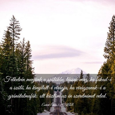 Picture 03 - Énekek Éneke 7:12 KAR - Felkelvén menjünk a szõlõkbe, lássuk meg, ha - Bible Verse Picture