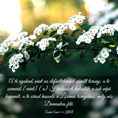 Picture 03 - Énekek Éneke 7:4 KAR - A te nyakad, mint az elefánttetembõl csinált - Bible Verse Picture