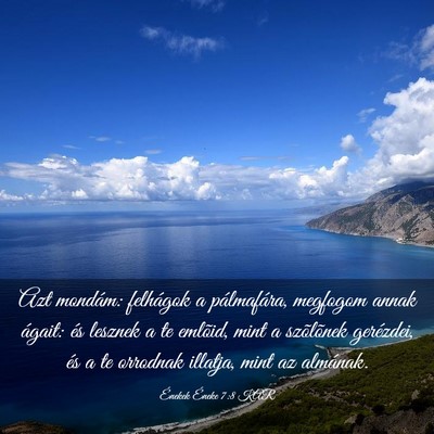 Picture 03 - Énekek Éneke 7:8 KAR - Azt mondám: felhágok a pálmafára, megfogom - Bible Verse Picture