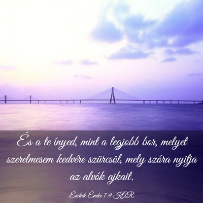 Picture 03 - Énekek Éneke 7:9 KAR - És a te ínyed, mint a legjobb bor, melyet - Bible Verse Picture