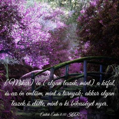 Picture 03 - Énekek Éneke 8:10 KAR - [Mikor] én [olyan leszek, mint] a kõfal, és az - Bible Verse Picture