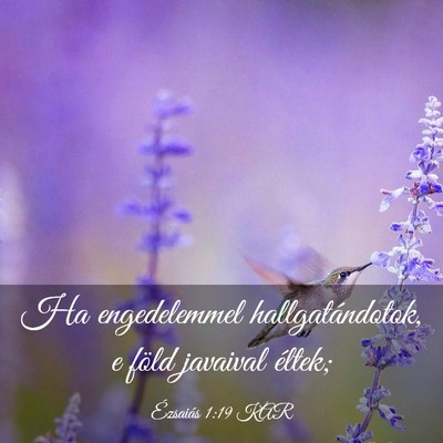 Picture 03 - Ézsaiás 1:19 KAR - Ha engedelemmel hallgatándotok, e föld javaival - Bible Verse Picture