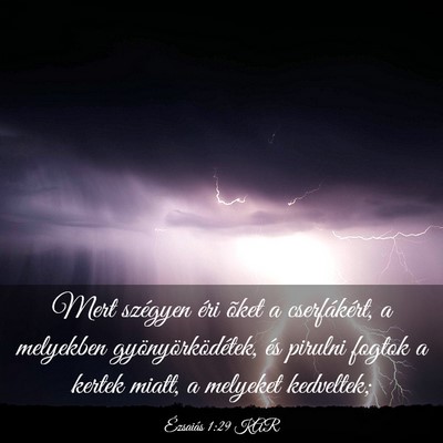 Picture 03 - Ézsaiás 1:29 KAR - Mert szégyen éri õket a cserfákért, a - Bible Verse Picture