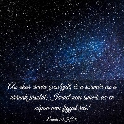 Picture 03 - Ézsaiás 1:3 KAR - Az ökör ismeri gazdáját, és a szamár az õ - Bible Verse Picture