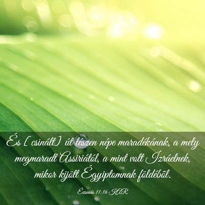 Picture 03 - Ézsaiás 11:16 KAR - És [csinált] út lészen népe maradékának, a - Bible Verse Picture