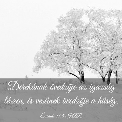 Picture 03 - Ézsaiás 11:5 KAR - Derekának övedzõje az igazság lészen, és - Bible Verse Picture
