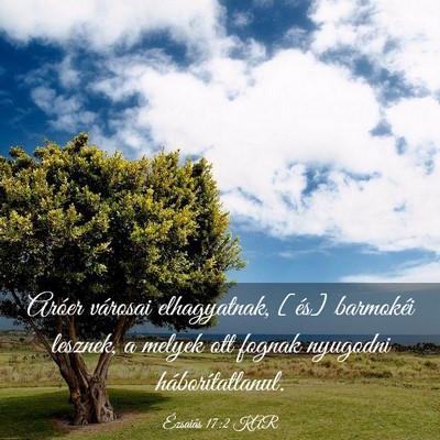 Picture 03 - Ézsaiás 17:2 KAR - Aróer városai elhagyatnak, [és] barmokéi - Bible Verse Picture
