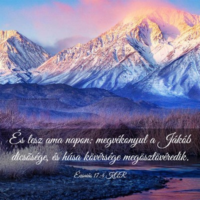 Picture 03 - Ézsaiás 17:4 KAR - És lesz ama napon: megvékonyul a Jákób - Bible Verse Picture