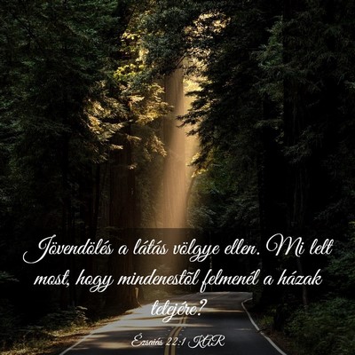 Picture 03 - Ézsaiás 22:1 KAR - Jövendölés a látás völgye ellen. Mi lelt - Bible Verse Picture