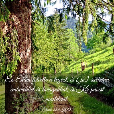 Picture 03 - Ézsaiás 22:6 KAR - És Élám fölvette a tegezt, és [jõ] szekeren - Bible Verse Picture
