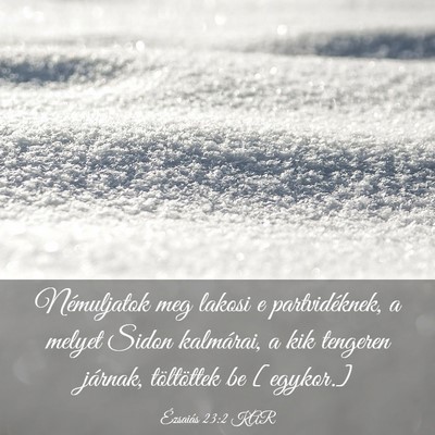 Picture 03 - Ézsaiás 23:2 KAR - Némuljatok meg lakosi e partvidéknek, a melyet - Bible Verse Picture