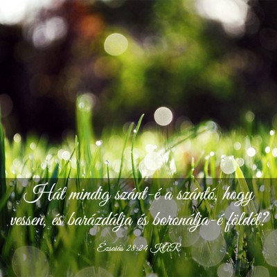 Picture 03 - Ézsaiás 28:24 KAR - Hát mindig szánt-é a szántó, hogy vessen, - Bible Verse Picture
