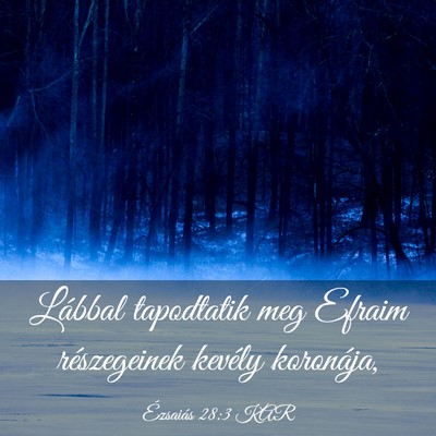 Picture 03 - Ézsaiás 28:3 KAR - Lábbal tapodtatik meg Efraim részegeinek - Bible Verse Picture