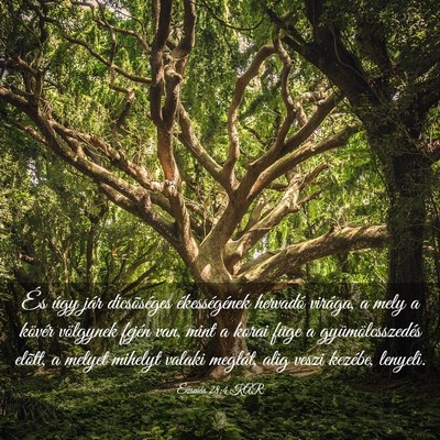 Picture 03 - Ézsaiás 28:4 KAR - És úgy jár dicsõséges ékességének - Bible Verse Picture