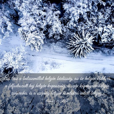Picture 03 - Ézsaiás 3:25 KAR - És lesz a balzsamillat helyén büdösség, az - Bible Verse Picture