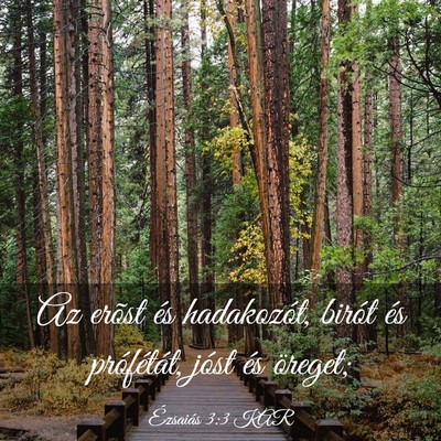 Picture 03 - Ézsaiás 3:3 KAR - Az erõst és hadakozót, birót és prófétát, - Bible Verse Picture