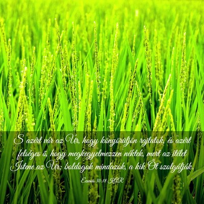 Picture 03 - Ézsaiás 30:18 KAR - S azért vár az Úr, hogy könyörüljön - Bible Verse Picture