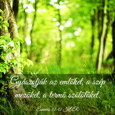 Picture 03 - Ézsaiás 32:12 KAR - Gyászolják az emlõket, a szép mezõket, a - Bible Verse Picture