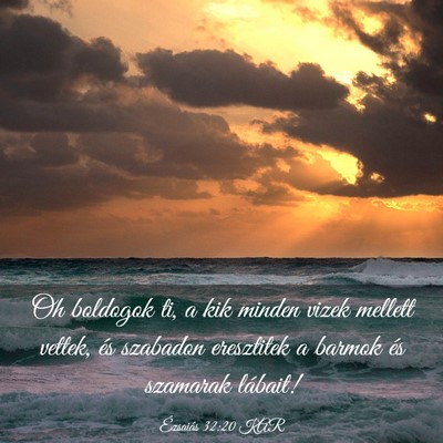 Picture 03 - Ézsaiás 32:20 KAR - Oh boldogok ti, a kik minden vizek mellett - Bible Verse Picture