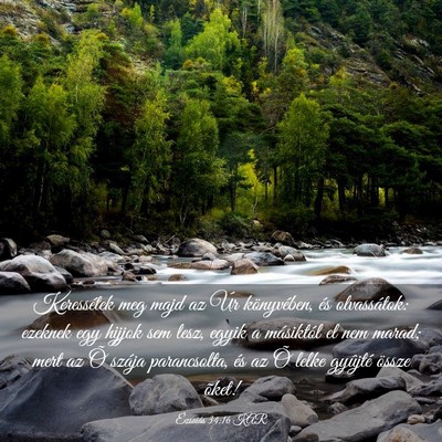 Picture 03 - Ézsaiás 34:16 KAR - Keressétek meg majd az Úr könyvében, és - Bible Verse Picture
