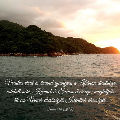 Picture 03 - Ézsaiás 35:2 KAR - Virulva virul és örvend ujjongva, a Libánon - Bible Verse Picture