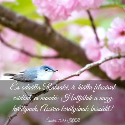 Picture 03 - Ézsaiás 36:13 KAR - És odaálla Rabsaké, és kiálta felszóval - Bible Verse Picture