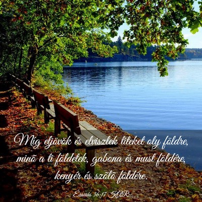 Picture 03 - Ézsaiás 36:17 KAR - Míg eljövök és elviszlek titeket oly földre, - Bible Verse Picture