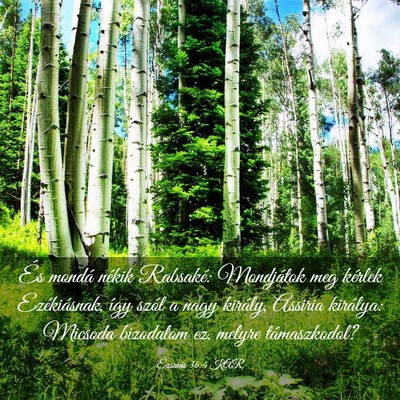 Picture 03 - Ézsaiás 36:4 KAR - És mondá nékik Rabsaké: Mondjátok meg - Bible Verse Picture