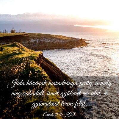 Picture 03 - Ézsaiás 37:31 KAR - Júda házának maradványa pedig, a mely - Bible Verse Picture