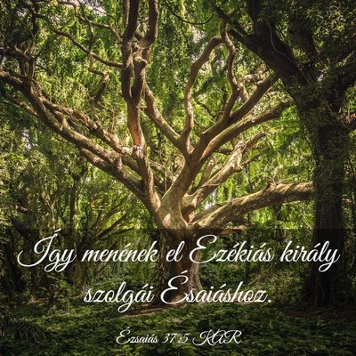 Picture 03 - Ézsaiás 37:5 KAR - Így menének el Ezékiás király szolgái - Bible Verse Picture