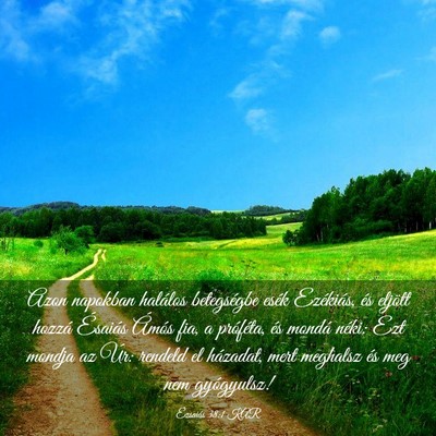 Picture 03 - Ézsaiás 38:1 KAR - Azon napokban halálos betegségbe esék - Bible Verse Picture