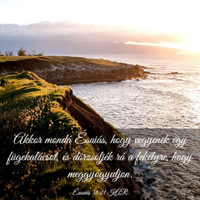 Picture 03 - Ézsaiás 38:21 KAR - Akkor mondá Ésaiás, hogy vegyenek egy - Bible Verse Picture