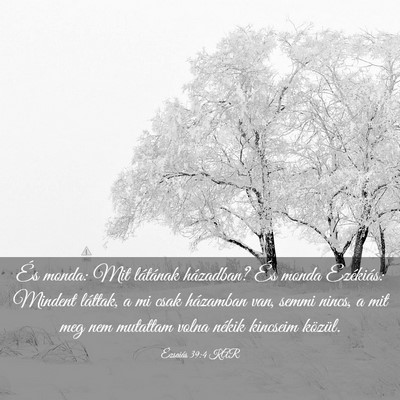 Picture 03 - Ézsaiás 39:4 KAR - És monda: Mit látának házadban? És monda - Bible Verse Picture