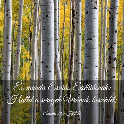 Picture 03 - Ézsaiás 39:5 KAR - És monda Ésaiás Ezékiásnak: Halld a seregek - Bible Verse Picture
