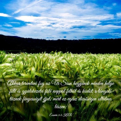 Picture 03 - Ézsaiás 4:4 KAR - Akkor teremteni fog az Úr Sion hegyének minden - Bible Verse Picture