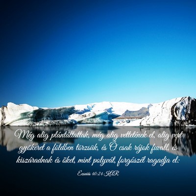 Picture 03 - Ézsaiás 40:24 KAR - Még alig plántáltattak, még alig vettetének - Bible Verse Picture