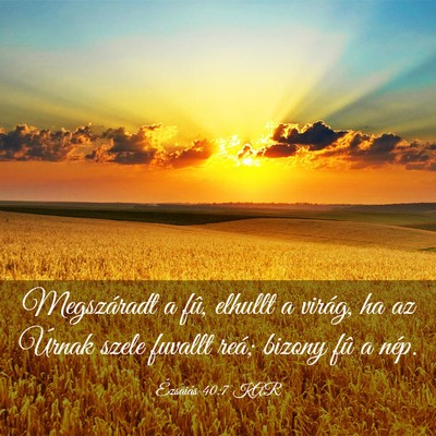 Picture 03 - Ézsaiás 40:7 KAR - Megszáradt a fû, elhullt a virág, ha az Úrnak - Bible Verse Picture