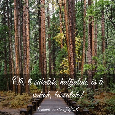 Picture 03 - Ézsaiás 42:18 KAR - Oh, ti süketek, halljatok, és ti vakok, - Bible Verse Picture