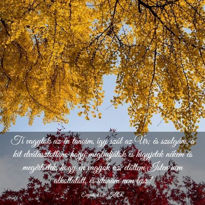 Picture 03 - Ézsaiás 43:10 KAR - Ti vagytok az én tanuim, így szól az Úr; és - Bible Verse Picture